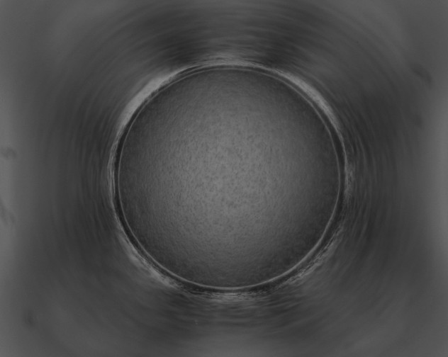 X0000090701341200708031405