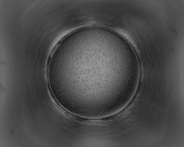 X0000090701342200708031405