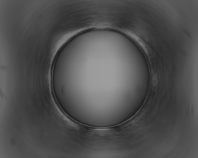 X0000090701343200708031405