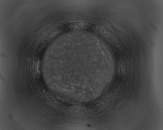 X0000090701346200708031405