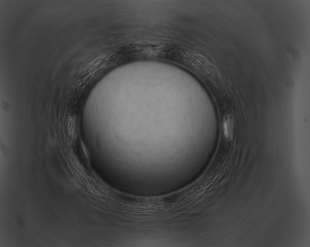 X0000090701347200708031405