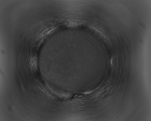 X0000090701348200708031405