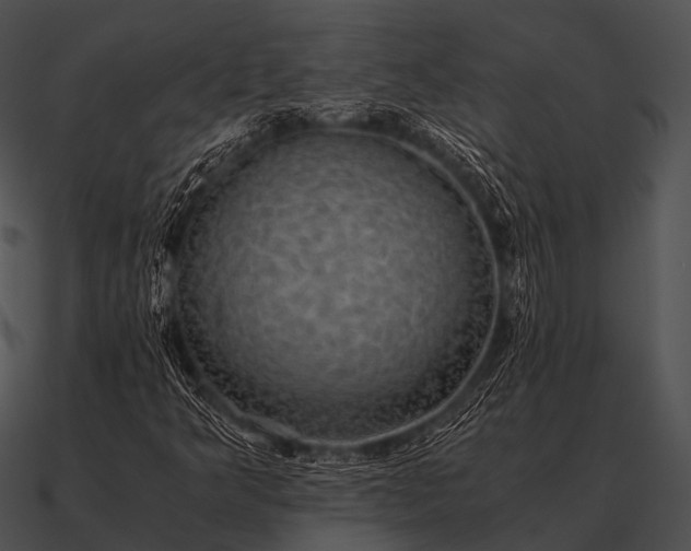 X0000090701349200708031405