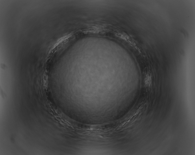 X0000090701350200708031405