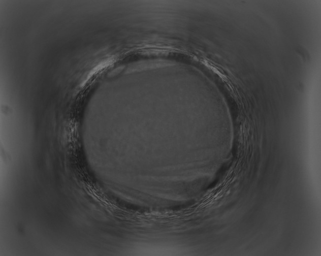 X0000090701351200708031405