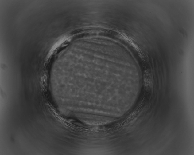 X0000090701352200708031405