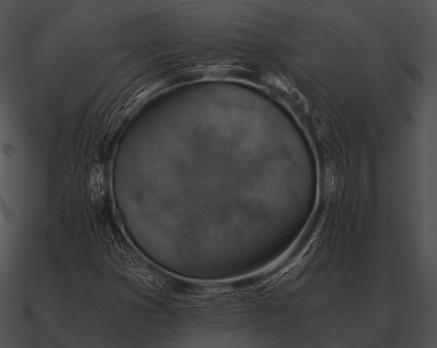 X0000090701353200708031405