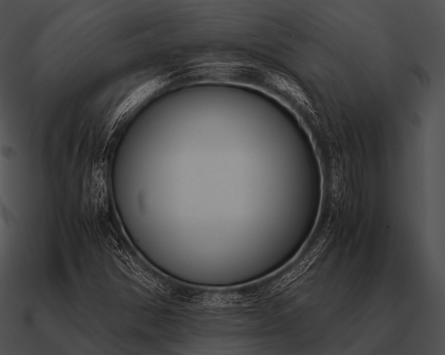 X0000090701354200708031405