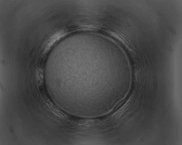 X0000090701355200708031405