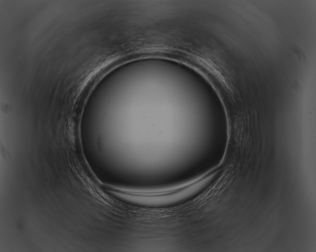 X0000090701356200708031405