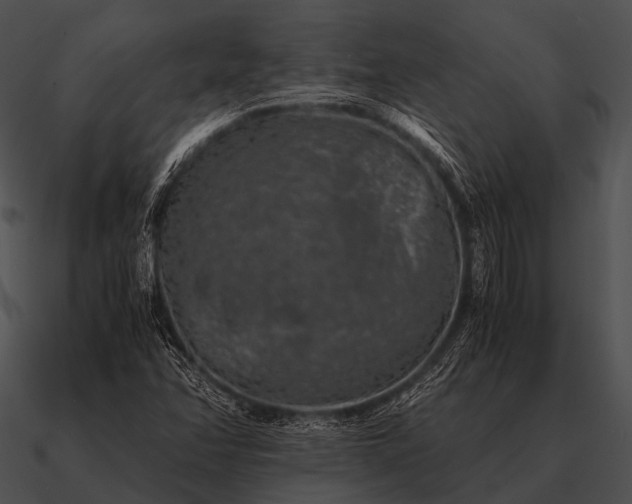 X0000090701358200708031405