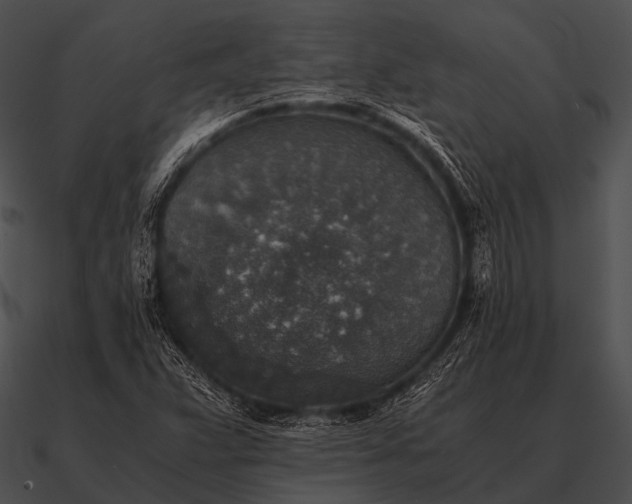 X0000090701359200708031405