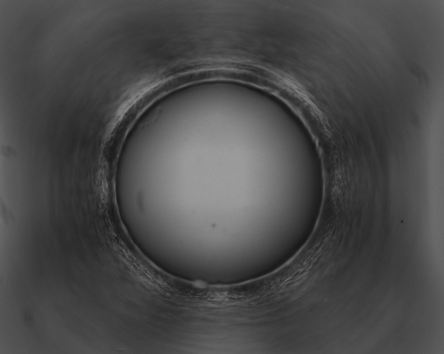 X0000090701360200708031405