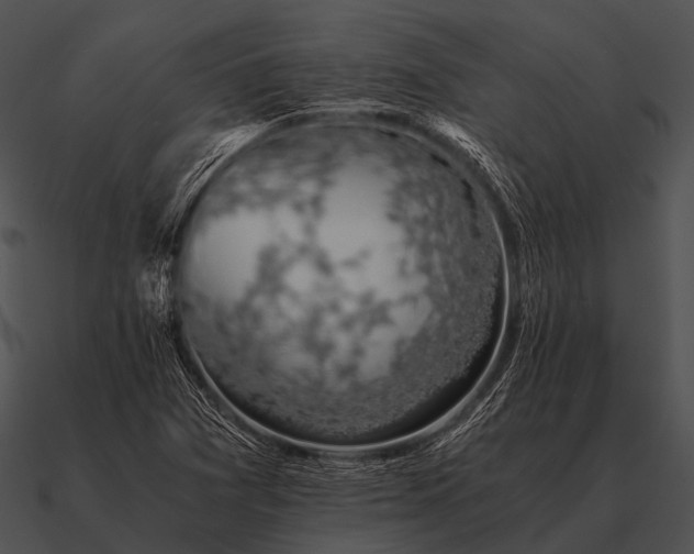 X0000090701361200708031405