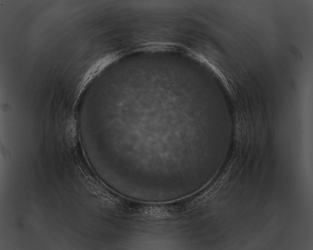 X0000090701362200708031405