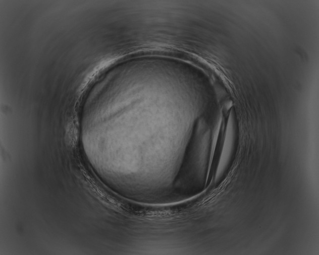 X0000090701363200708031405