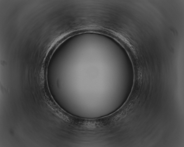 X0000090701364200708031405