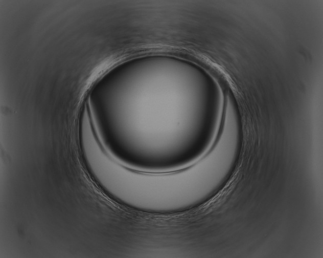 X0000090701365200708031405