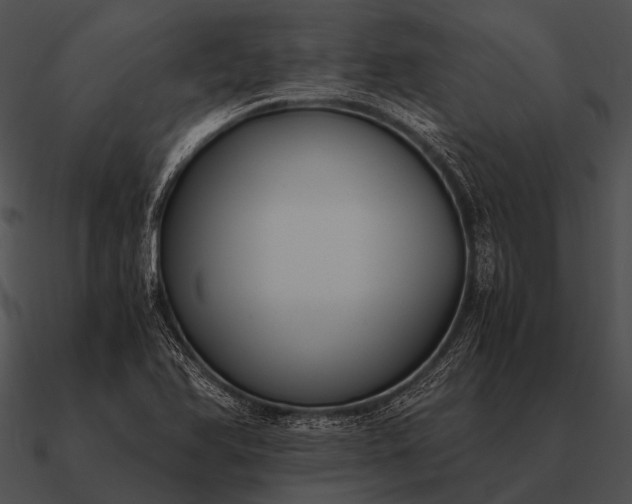 X0000090701366200708031405