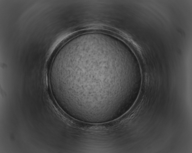 X0000090701368200708031405