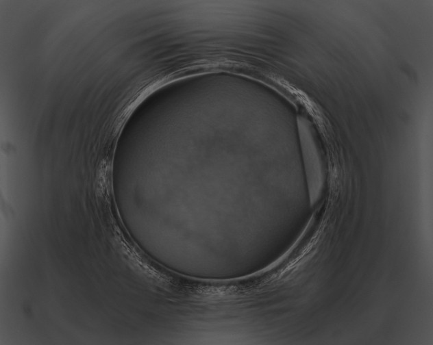 X0000090701369200708031405