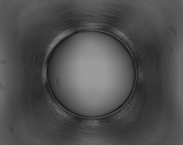 X0000090701370200708031405