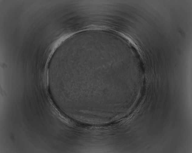 X0000090701371200708031405