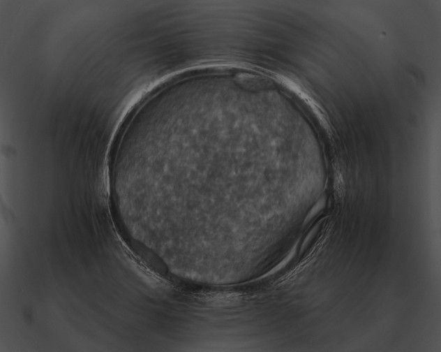 X0000090701372200708031405