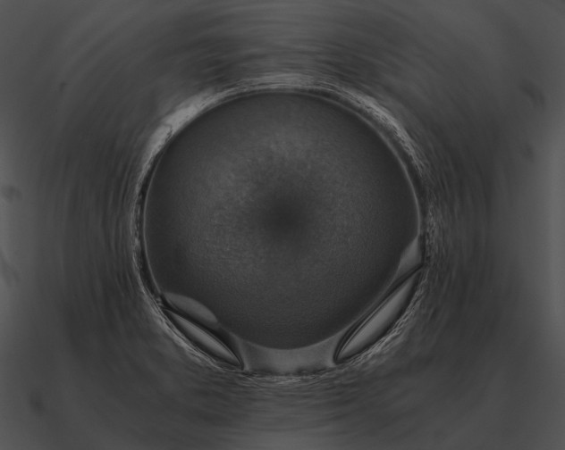 X0000090701373200708031405