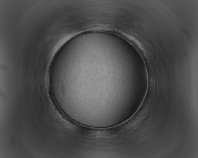 X0000090701375200708031405