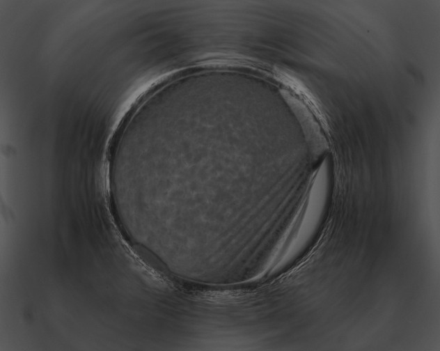 X0000090701376200708031405