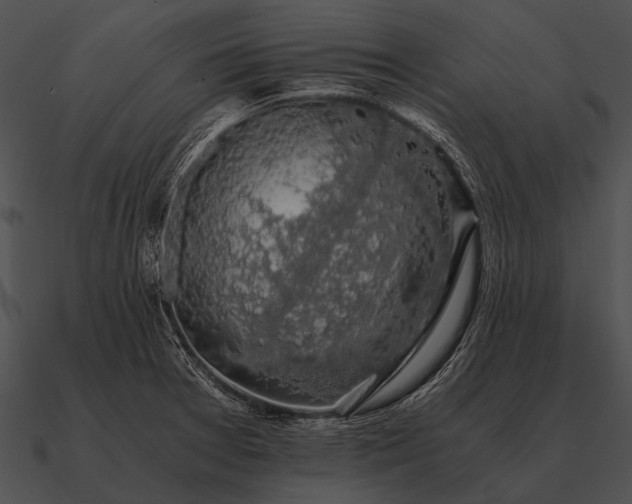 X0000090701377200708031405