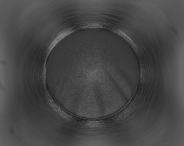 X0000090701378200708031405