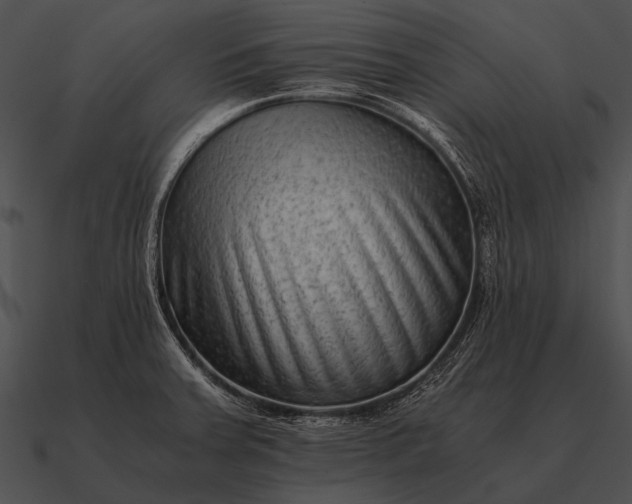 X0000090701379200708031405