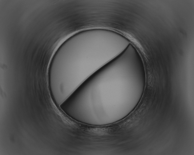 X0000090701380200708031405