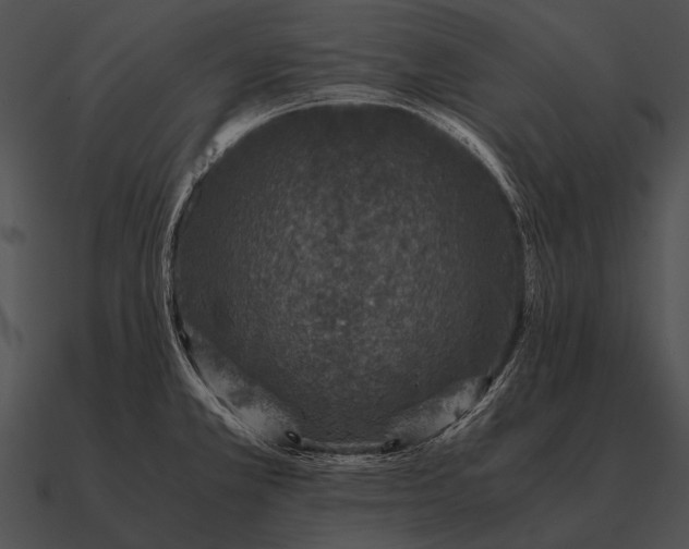 X0000090701381200708031404