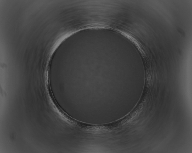 X0000090701383200708031404