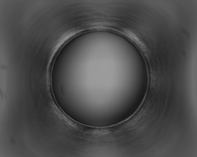 X0000090701384200708031404