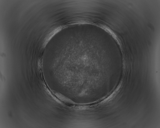 X0000090701385200708031404