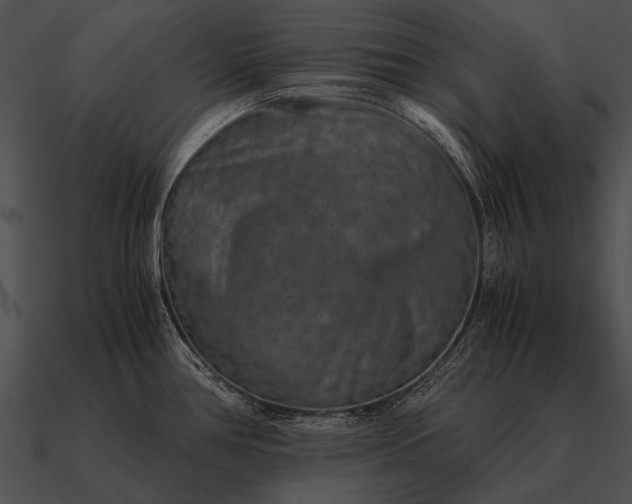 X0000090701386200708031404