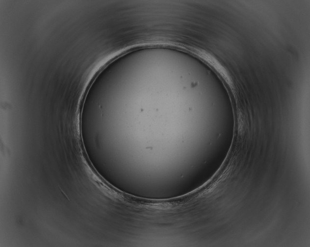 X0000090701388200708031404