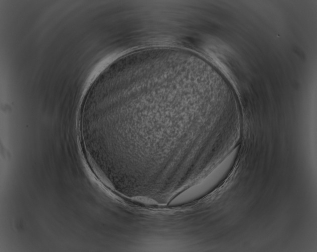 X0000090701389200708031404