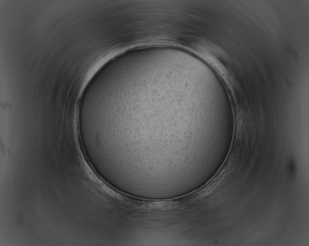 X0000090701390200708031404