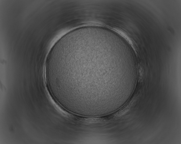 X0000090701391200708031404