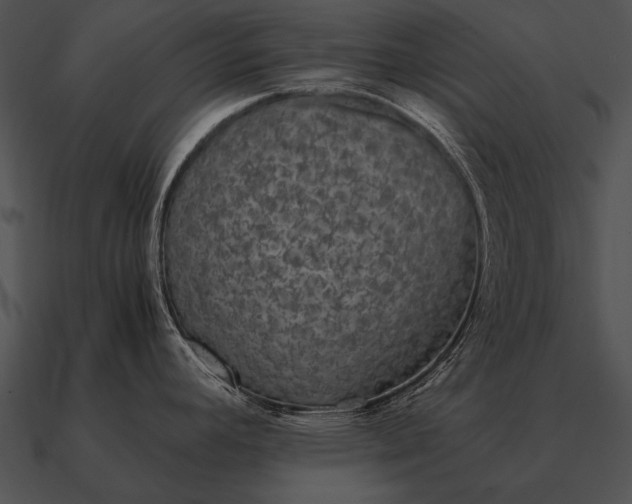 X0000090701392200708031404