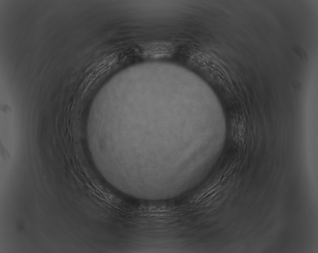 X0000090701393200708031404