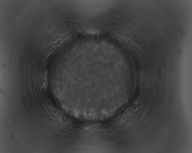 X0000090701394200708031404