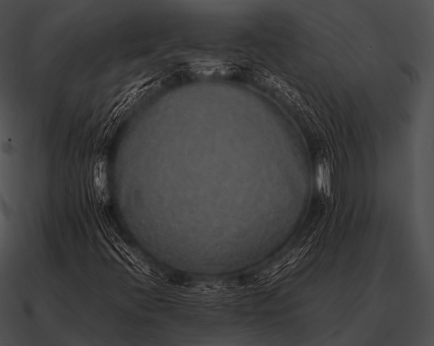 X0000090701396200708031404