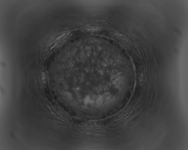 X0000090701397200708031404