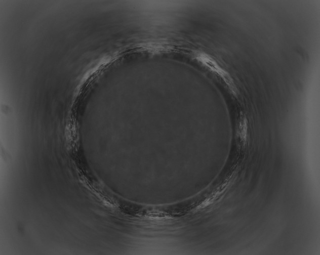 X0000090701398200708031404